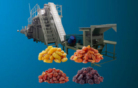 Ligne de processus complètement automatique de 2000 kg pour la manipulation des aliments