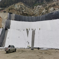 Géotextiles industriels en fibres courtes non tissées aiguilletées HDPE PP PET pour la protection des pentes