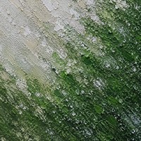 Peinture à l'huile abstraite en acrylique impasto, appliquée à la main, en grès vert, texture 3D, biophilique, Wabi-Sabi, pour entrée, sur toile murale