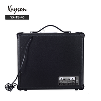 Kaysen — amplificateur de guitare de basse, 8 pouces, fabriqué en chine, puissance 40 w, vente en gros