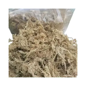 良質できれいな長繊維ミズゴケ1KG乾燥レンガ蘭デンドロビウム花栽培爬虫類マットレス用