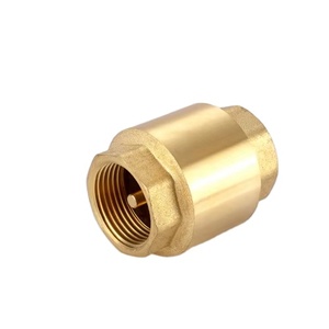 Offre Spéciale 1/2-Clapet anti-retour à ressort vertical en laiton fileté de 4 pouces - Product Image 1