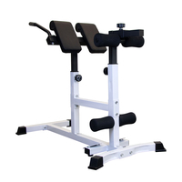 Machine d'extension de dossier de chaise romaine ZYFIT-Banc d'hyperextension du bas du dos-Équipement d'exercice réglable pour la salle de sport à domicile