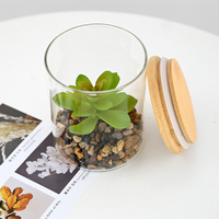 Mini succulente artificielle dans un vase en verre 11 cm, petite plante en pot pour la décoration de bureau, maison moderne et mariage