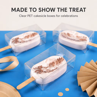 Boîtes professionnelles pour cakesicles, emballages pour barres de céréales, boîtes transparentes pour bonbons et glaces pour fêtes d'anniversaire