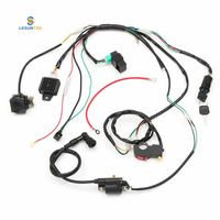 Lesun Factory OEM ODM Custom 32pin-50pin Connecteur étanche Assemblage de câble électrique Faisceau de câblage de moto