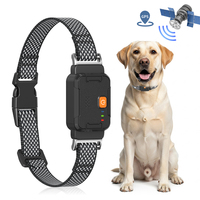 Suivi GPS pour animaux de compagnie en temps réel 4G avec moniteur d'activité pour chiens Collier anti-perte