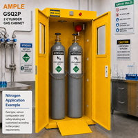 Armoire de stockage pour 2 bouteilles de gaz en acier avec rampe de chargement, fournisseur OEM ODM personnalisé pour laboratoire, usine, entrepôt B2B