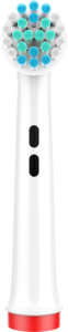 2025 spazzolino elettrico professionale compatibile orale <span class=keywords><strong>B</strong></span> con testine di ricambio brevettate alimentate da USB rimovibili - Product Image 5