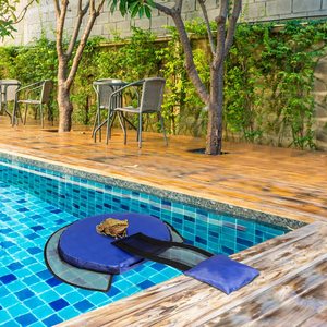 Rampe de secours pour animaux et oiseaux en piscine, pour évacuation en cas d'urgence - Product Image 5