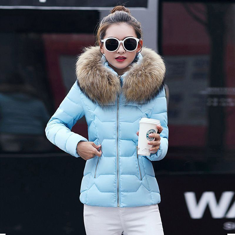 Blue + Brown Fur