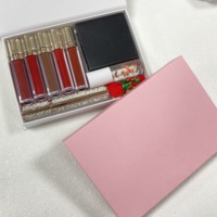 Vente chaude Halloween Noël Coffret Cadeau Rouge à Lèvres Mat Liquide Marque Privée Maquillage Étanche Brillant à Lèvres poudre compacte