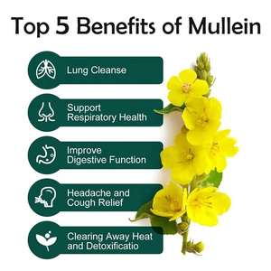 肺喫煙者茶肺デトックスハーブティークレンジング肺禁煙茶 - Product Image 6