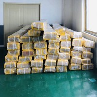 Fabriqué en Chine, équipement de nettoyage de fenêtres avec perche télescopique de 10 m, 15 m, 20 m