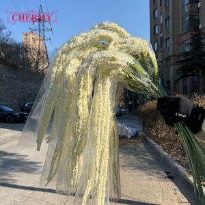 Nuovo Arrivo: Fiori Artificiali in Schiuma, <span class=keywords><strong>6</strong></span> Rami <span class=keywords><strong>di</strong></span> Amaranto Bianco e Verde, Piante Pendenti per Decorazioni Matrimoniali e Domestiche - Product Image 6