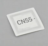 Puce CN55 KGK pour pièces d'imprimante à jet d'encre KGK Cij