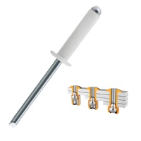 Rivet de bateau personnalisé couleur blanc noir bas prix extrémité ouverte Pop Rivet aveugle Avdel fournisseurs
