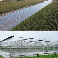 Film de serre à conversion lumineuse, film plastique agricole anti-UV pour la culture de fraises, tomates et légumes