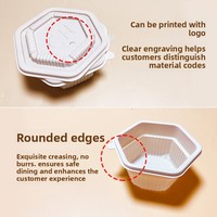 Conteneur alimentaire jetable biodégradable et écologique en PLA, compartimenté hexagonal de 5 mm, anti-fuite, pour plats à emporter, nouilles et gâteaux