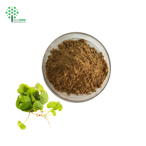 Экстракт Gotu Kola/экстракт центеллы азиатской 5%-90% общее количество тритерпенов - Product Image 1