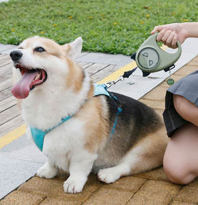 <span class=keywords><strong>2025</strong></span> nouvelle tendance légère laisse de chien à la mode Style Lolita personnalisé Nylon et caoutchouc matériel pour la marche en plein air - Product Image 5