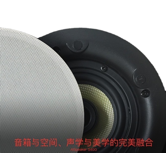 High Quality Home Amplifiers 10-30W Power 65Hz-20KHz Frequency Response Professional Sound Equipment