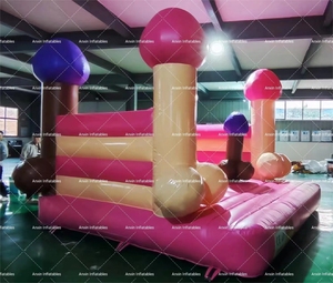 Château gonflable commercial en PVC pour soirée de filles/garçons, combo Big Dick pour soirée de filles/garçons - Product Image 5