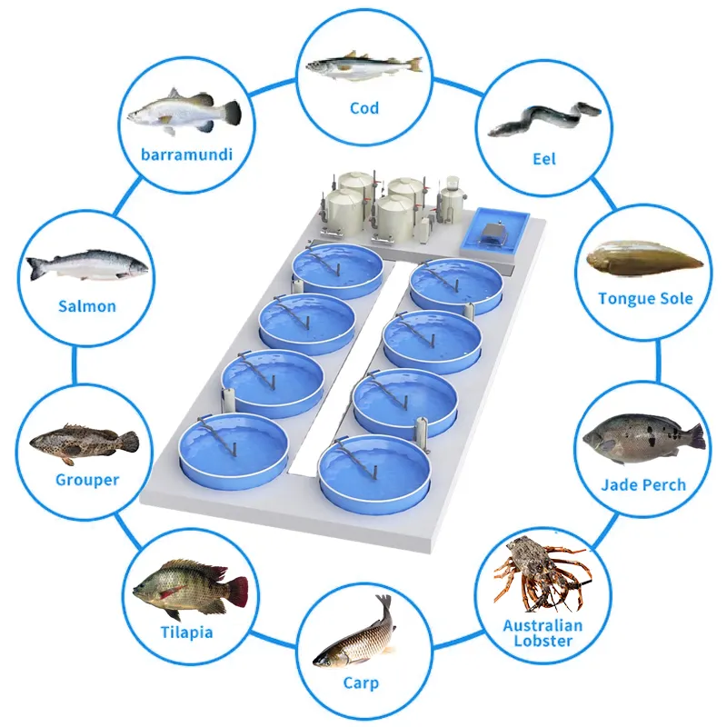 Система аквакультуры RAS, оборудование для выращивания форели тилапии, комнатные аквариумы, рыбоводный завод, цена, система RAS