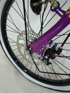 Vélo de ville pour adultes de haute qualité, style classique, 20 pouces, frein à disque, vitesse unique, vente en gros d'usine - Product Image 4