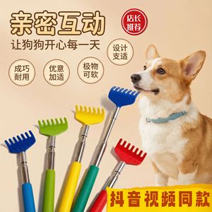 [618] Pet Scratcher, Amazing Massager, Retractable Comb/<b>Brush</b> Toy for Pets - Product Image 1