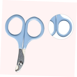 Whole Manufacturers Pet Products Pet Nail <b>Scissors</b> Cat and <b>Dog</b> Teddy <b>Dog</b> Nail Clippers Cheap Cleaning Beauty Nail Clippers - Product Image 2