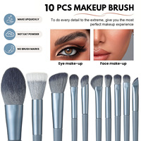 Ensemble de pinceaux de maquillage professionnels SFM, 19/25 pièces, poils synthétiques en plastique, style national bleu, y compris des outils de nettoyage