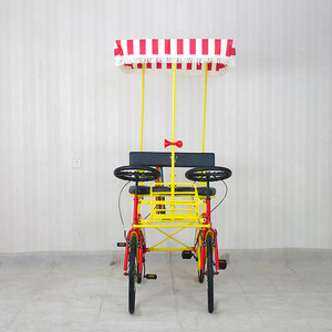 Cuatriciclo de 2 Plazas con Marco de Acero, Bicicleta Ligera para Dos Personas, Uso Turístico, Autobús de Pedales, Cuatriciclo para Adultos con Asiento Trasero, Bicicleta Surrey - Product Image 6