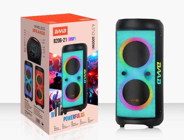 B206-21 Dual 6.5 Inch Woofer DSP Portable Speaker RGB Lighting Rechargeable Battery for Outdoor Activity Factory Direct Sales