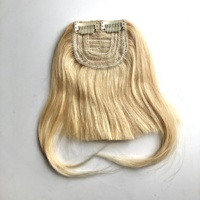 CA Cheveux Humains Remy Vierges de Haute Qualité 100% Lisses, Franges à Clips Invisibles pour Femmes, Vente en Gros LLBeautyHair