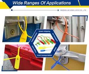 AH-PS010 300mm Joint d'étanchéité en plastique à usage unique Joint en plastique numéroté - Product Image 5