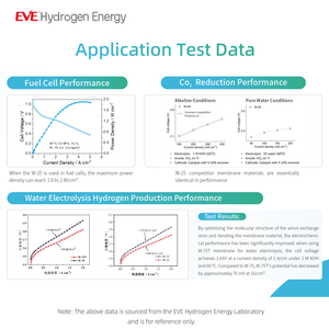 High Performance <span class=keywords><strong>Anion</strong></span> Exchange Membrana Green Hydrogen Systems AEM Water Hydrogen Electrolyzer Usage(QAPPT Material) para - Product Image 3