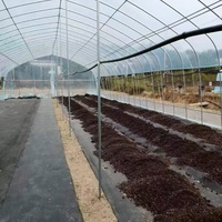 Structure de serre en acier à plusieurs travées sur mesure, serres commerciales à vendre