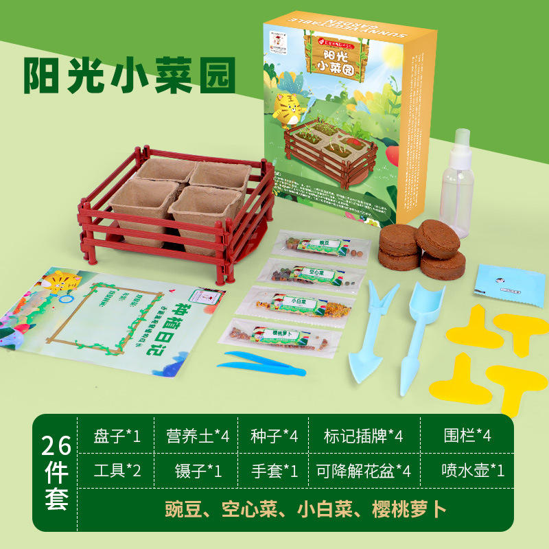 สวนผักแสนสดใส