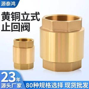 Clapet anti-retour vertical en laiton économique pour pompe à eau et compteur d'eau - Product Image 3