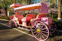 Chariot à chevaux mobile, élégante calèche de princesse, calèche électrique Cendrillon, calèche de mariage en forme de citrouille