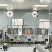 Machine à faire bouillir le lait de soja automatique HJ |   Bouilloire en acier inoxydable pour la préparation du lait de soja |   Équipement de chauffage commercial pour tofu, haute performance PLC