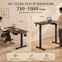 Table élévatrice électrique robuste AOR, charge statique 200 kg, 3 ensembles de préréglages de mémoire, contrôle intelligent, vente en gros usine
