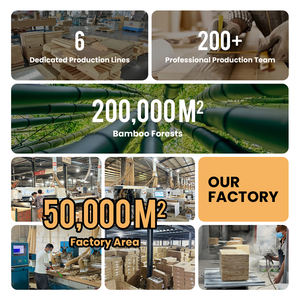 Equipo de <span class=keywords><strong>Calistenia</strong></span> de Madera BH Wood, Barras de Paralelismo de Madera para Flexiones, Entrenamiento de Fuerza y <span class=keywords><strong>Calistenia</strong></span> <span class=keywords><strong>en</strong></span> Casa - Product Image 5