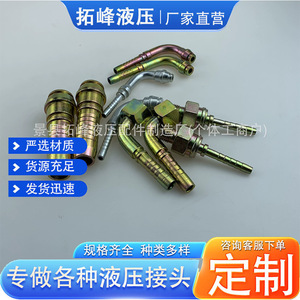 Raccords de Tuyaux Hydrauliques en Acier au Carbone Zingué – Gamme Complète de Spécifications – Connecteurs pour Usage Industriel - Product Image 5