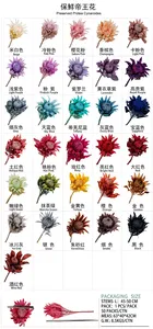 Flores Naturales Preservadas AYOYO OEM, Protea Gigante de Larga Duración, Flores de Protea Preservadas, King Floral - Product Image 3