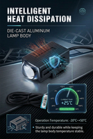 Feux de calandre laser matriciels pour voiture 3000K 6000K 22W, feux auxiliaires LED pour calandre, projecteurs de calandre