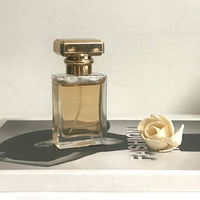 Vente en gros, emballage de flacon de parfum torsadé vide en or avec couvercle rectangulaire de 30ml, carré, rechargeable