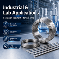 Fil de titane GR1 GR2 ASTM B863 pour soudage TIG MIG, usinage CNC, laboratoire industriel, découpe sur mesure, OEM