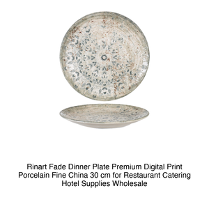 Plato Plano Fade Ø 30 cm, Porcelana Fina Premium, Impresión Digital, Porcelana Rinart - Product Image 2